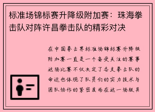 标准场锦标赛升降级附加赛：珠海拳击队对阵许昌拳击队的精彩对决